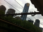 Seagulls on a wire at Flinder's St Station. The Eureka Tower is in the background.